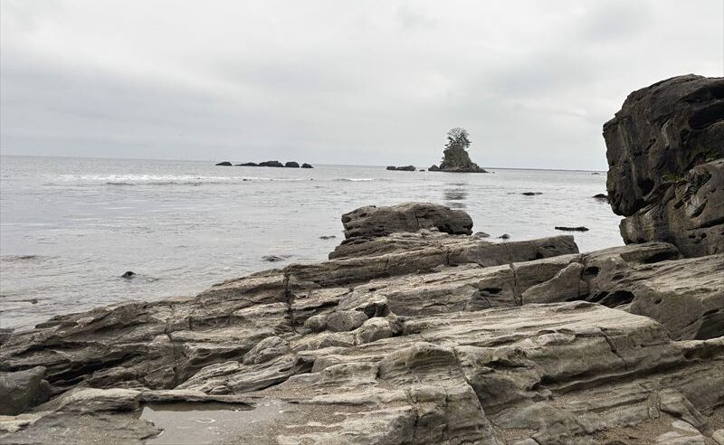富山 道の駅 雨晴(あまはらし)